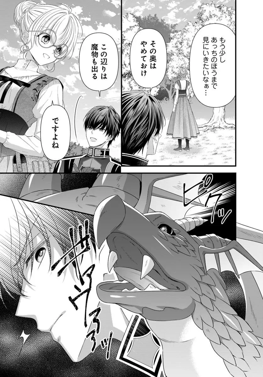 王女でしたがこっそり竜騎士団の専属薬師になりました 第10.1話 - Page 8