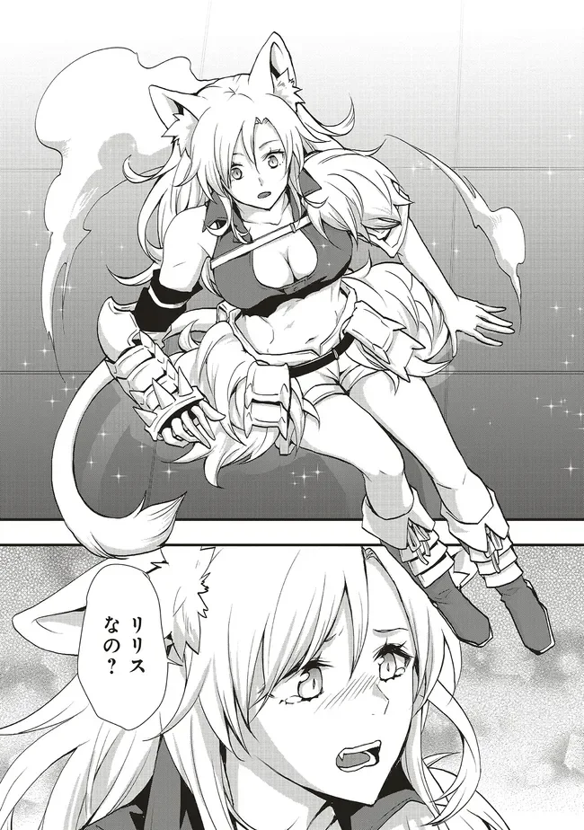 その冒険者、取り扱い注意。 第65.1話 - Page 11