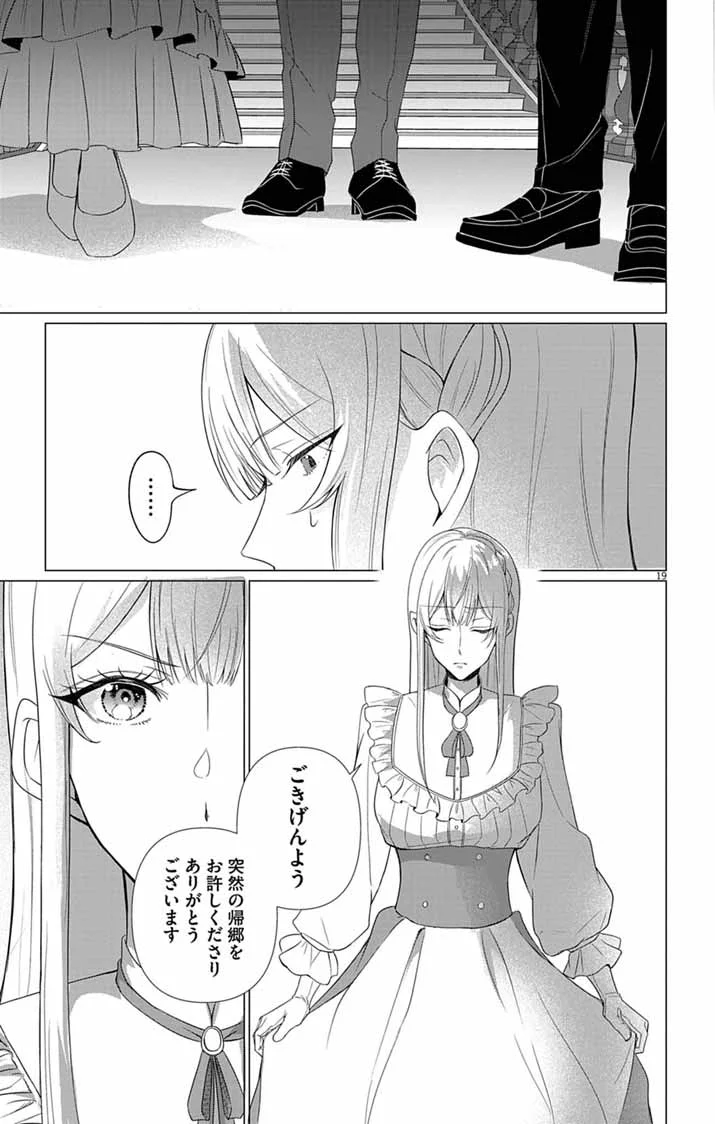 傾国の美姫はステータス変更で素手喧嘩無敗になりました 第14話 - Page 19