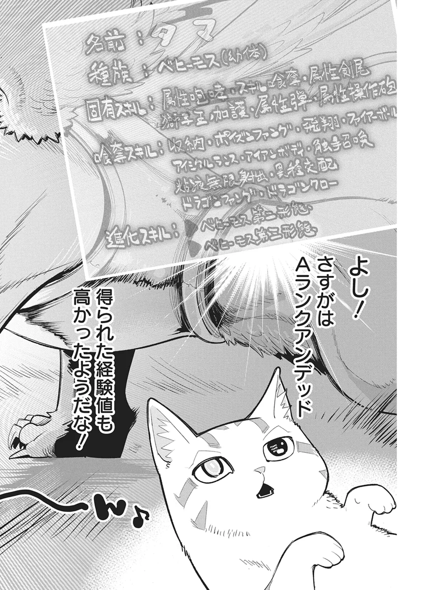 ランクモンスターの《ベヒーモス》だけどネコと間違われてエルフ娘の騎士として暮らしています 第90話 - Page 2