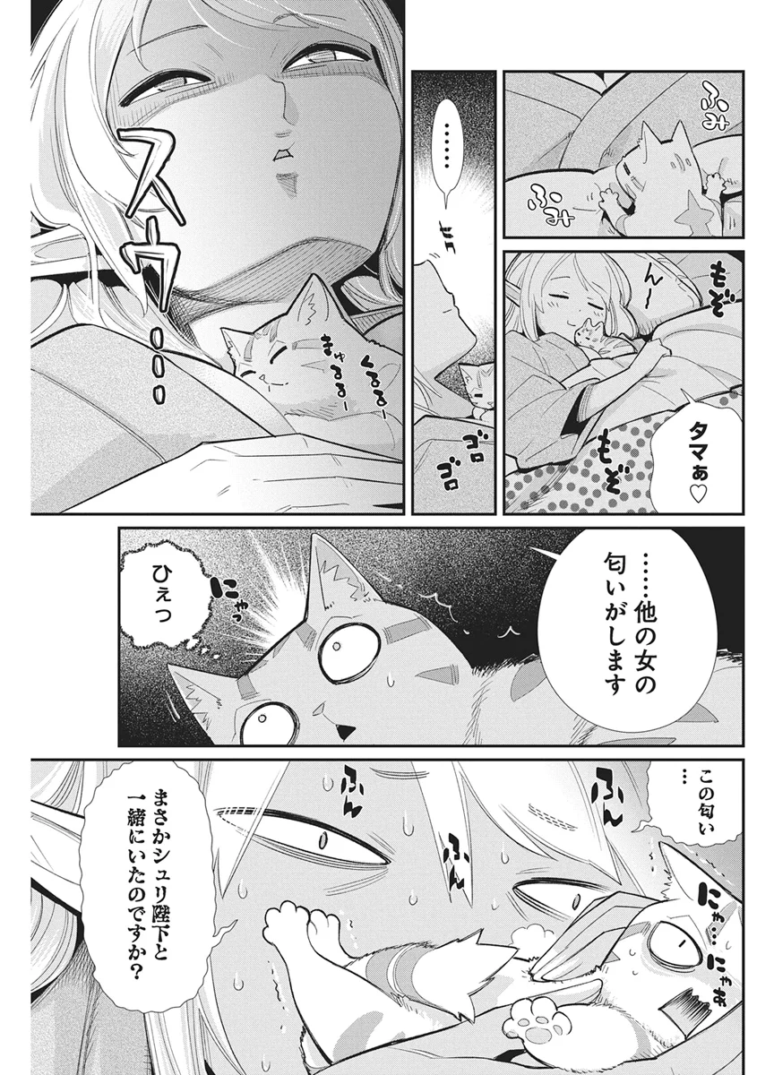 ランクモンスターの《ベヒーモス》だけどネコと間違われてエルフ娘の騎士として暮らしています 第90話 - Page 17